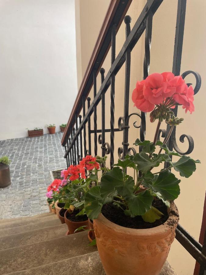 Historical Zaffir House - Market Square Levoča Екстериор снимка