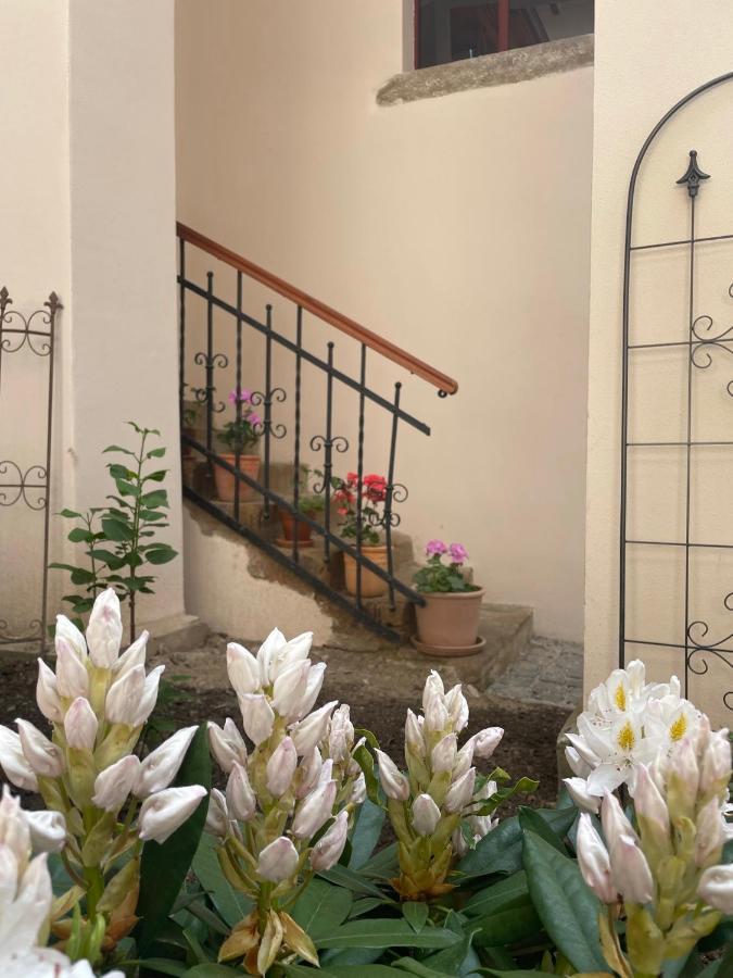Historical Zaffir House - Market Square Levoča Екстериор снимка